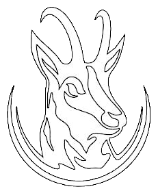 logo isard blanc