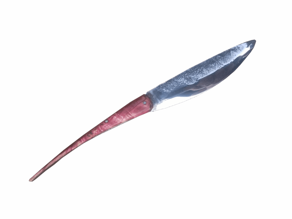 hirondelle