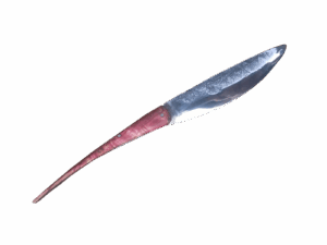 hirondelle