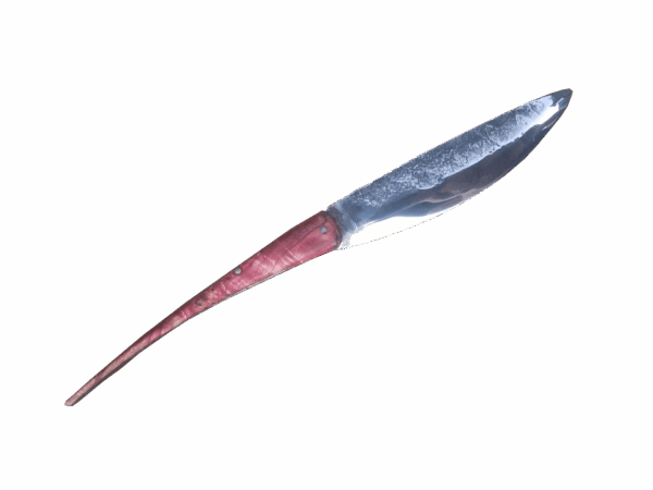 hirondelle