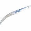 sousbois2
