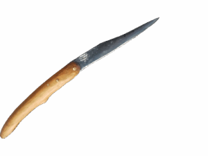 le petit berger