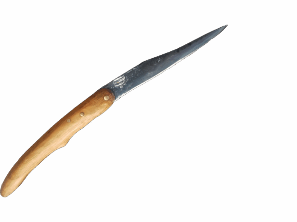 le petit berger